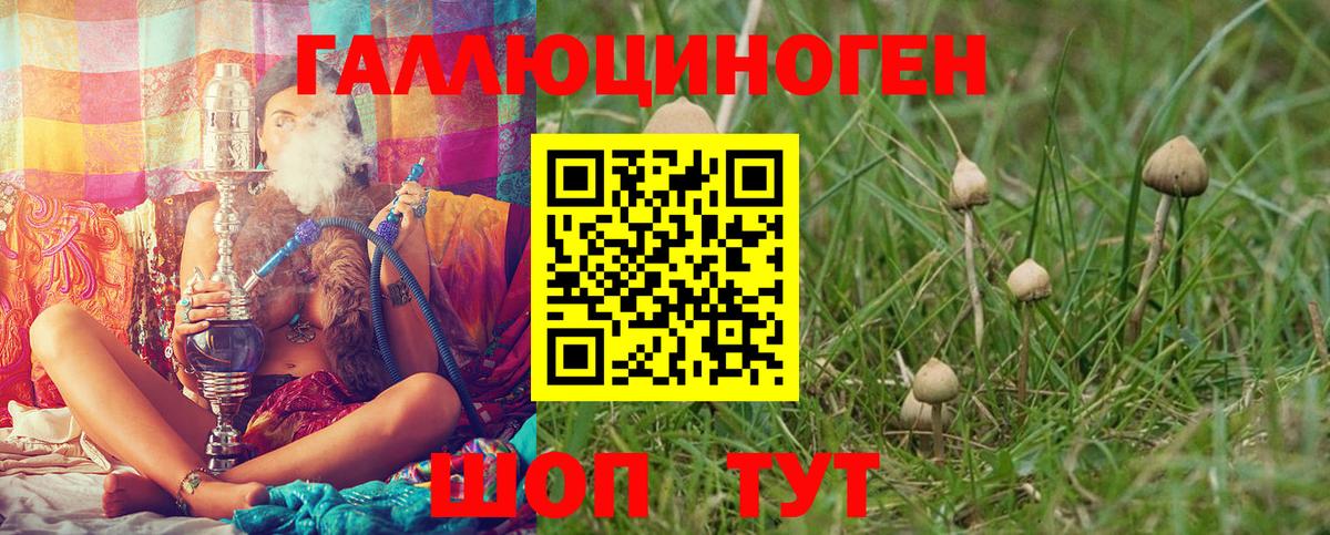 Галлюциногенные грибы Magic Shrooms Красноярск
